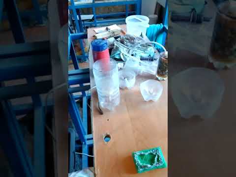 Видео: Разведение кардиналов альбиносов.