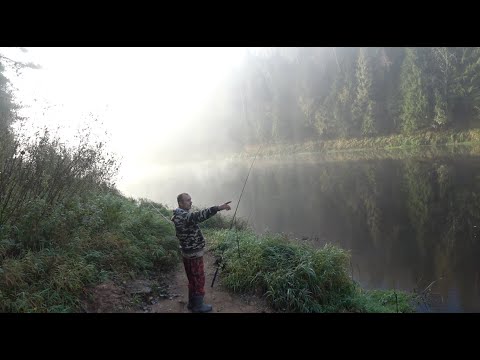 Видео: Осенняя Рыбалка в Живописном Уголке. Грибы еще есть.