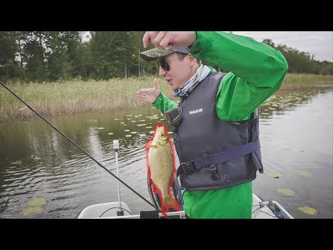 Видео: Нашли МЕСТО С ТРОФЕЙНОЙ КРАСНОПЁРКОЙ. Жирное завершение сезона. Попали на бешеный клёв краснопёрки.