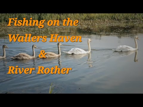 Видео: Плыви по течению: искусственные и естественные реки