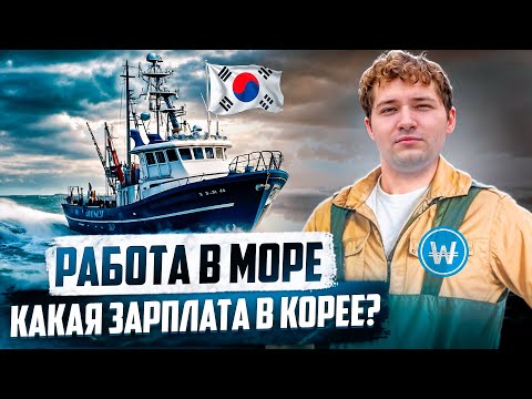 Видео: РАБОТА В КОРЕЕ НА ТАШИМЕ / ПОТРАТИЛ ВСЕ ДЕНЬГИ НА ПЕРЕЕЗД, ЧТО В ИТОГЕ?