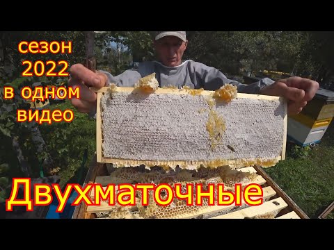 Видео: ДВУХМАТОЧНЫЕ СЕМЬИ! Сезон 2022 года в одном видео!