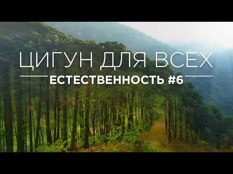Видео: ЦИГУН ДЛЯ ВСЕХ - ЕСТЕСТВЕННОСТЬ #6