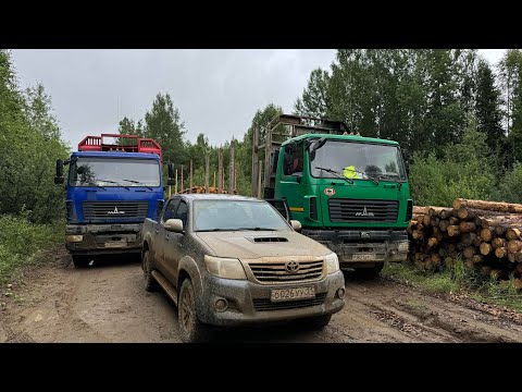 Видео: ЭВАКУАЦИЯ МАЗА 🔞