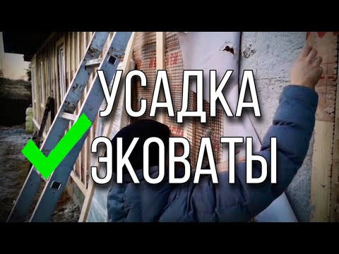 Видео: Эковата не просядет через 50 лет! Проверяем Эковату на усадку в стене