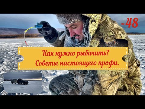 Видео: Уникальная рыбалка при - 48 градусах: необычные приемы и советы