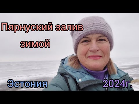 Видео: 293.Эстония.Идём к Пярнускому заливу зимой.