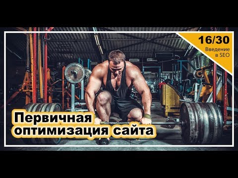Видео: Урок 16: Первичная оптимизация сайта. Введение в SEO