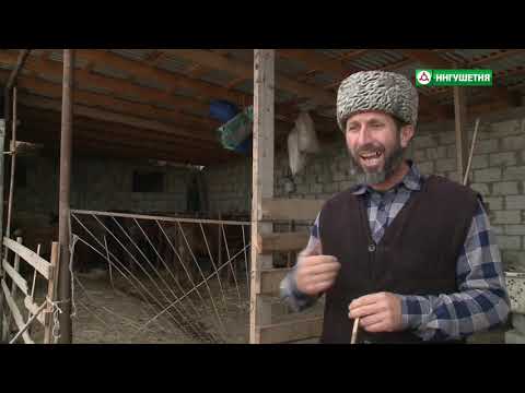 Видео: 26102020 МУНИЦИПАЛЬНЫЙ ОБЗОР  СУРХАХИ 2 ДУГИЕВА