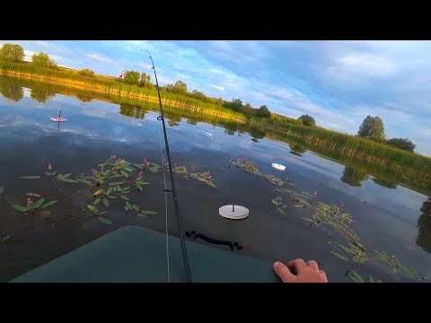 Видео: ПОСТАВИЛИ КРУЖКИ на ЩУКУ в СЕЛЬСКОМ ПРУДУ и СРАЗУ ПОКЛЕВКА! Ловим ЗУБАСТЫХ ХИЩНИКОВ на спиннинг!