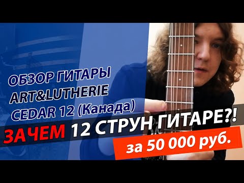 Видео: 12 струнная акустическая гитара! ЗАЧЕМ???