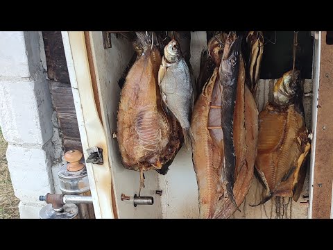 Видео: Технология засолки, приготовления рыбы холодного копчения.