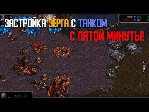 Видео: Старкрафт Т VS Z Танк с бункером на экспе на 5 минуте!