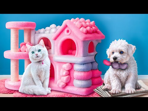 Видео: Бедная собака vs богатая кошка! Строим секретные домики для животных!