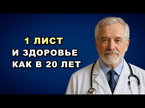 Видео: Вот почему я начал пить лавровый лист — и что со мной стало через 3 дня