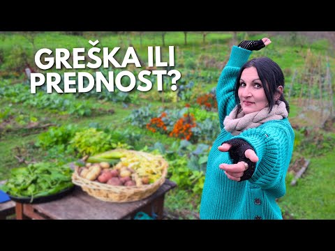 Видео: Самая большая ОШИБКА в Садоводстве - Неправильная Ориентация Сада