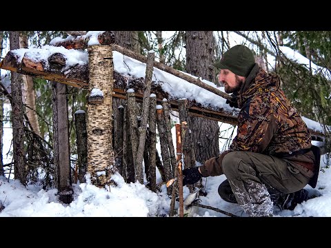 Видео: ПОЙМАТЬ РОСОМАХУ В ПАСТЬ. ХОДОВАЯ ОХОТА В РАЙОНЕ ИЗБЫ "БАЗОВОЙ"