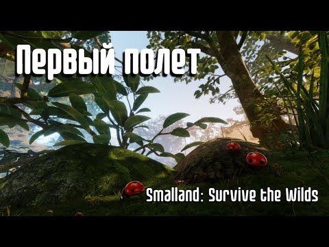 Видео: Уже как дома. Smalland: Survive the Wilds