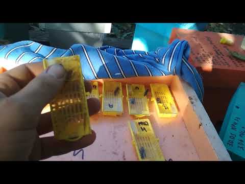 Видео: Осенняя замена маток в основных семьях. Изолятор Большакова!