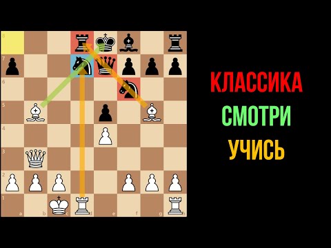 Видео: КАК ВЫИГРАТЬ ПРОТИВ ЗАЩИТЫ ФИЛИДОРА? Морфи - Консультанты