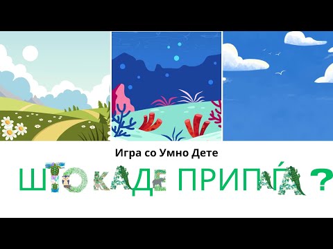 Видео: Игра со Умно Дете | Што каде припаѓа?  | Што каде живее?