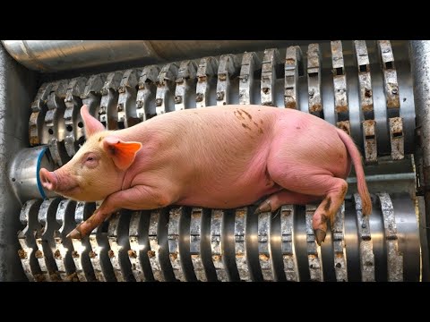 Видео: Безумные Процессы На Производстве, От Которых Волосы Дыбом
