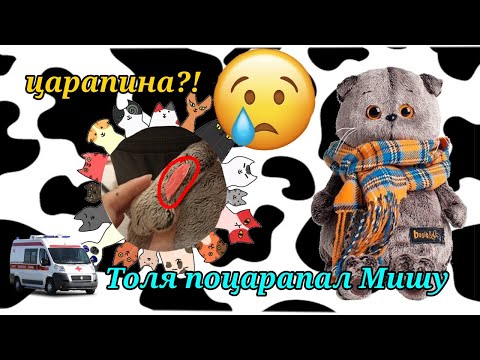 Видео: ТОЛЯ ПОЦАРАПАЛ МИШУ? ДО КРОВИ? 😮🩸Мы с басиком поехали в больницу?