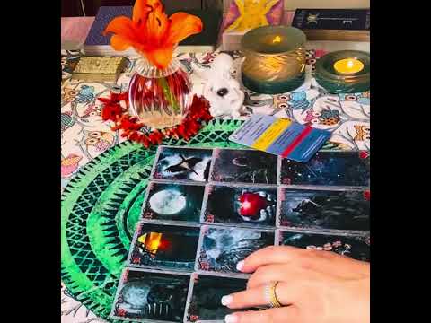 Видео: 🛡️🪬🛡️» Горячие 🔥Новости для Вас 💯 % Сейчас ☝️☝️☝️😳👀😳».‼️🛡️🪬таро онлайн гадание 🔮 враг бумеранг 🪃 