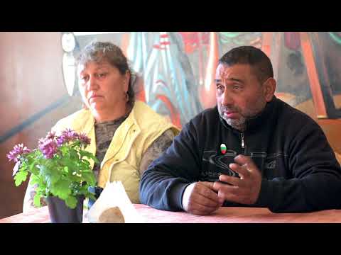 Видео: ПТП до гр.Луковит