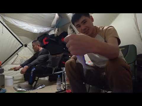 Видео: Рыбалка на Рипуса  . Как на ловит много Рипуса,  подобрать игру тактика насадка  корм