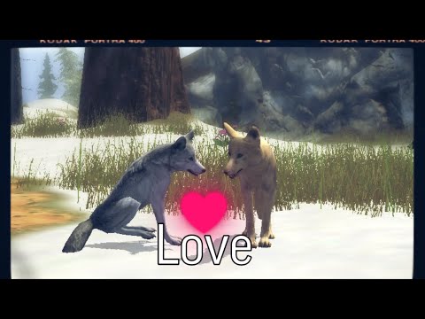 Видео: |LEO|Ultimate Wolf Simulator 2 #4 (КАК СОЗДАТЬ ПАРУ/СТАЮ) ОТВЕТ ЗДЕСЬ!