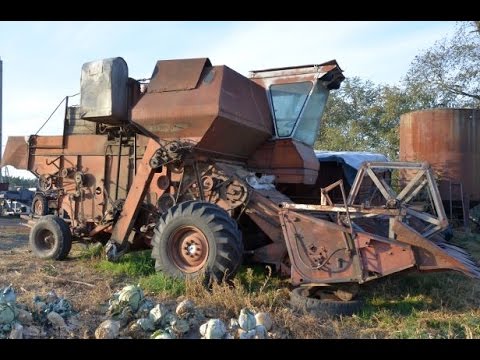Видео: Комбайн Нива СК-5, переоборудованный под уборку подсолнечника