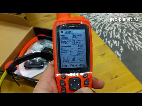Видео: Garmin Alpha 50 - включаем HD BarkDetect