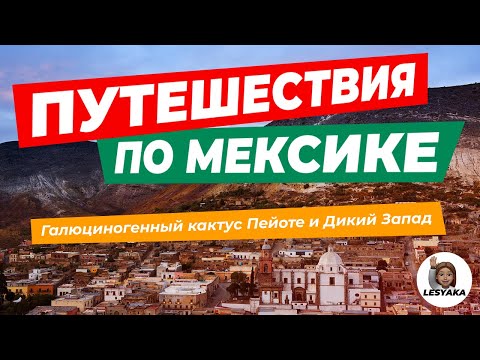 Видео: Галлюциногенный кактус Пейоте, проникновение на частную территорию и Дикий Запад (subtitles)