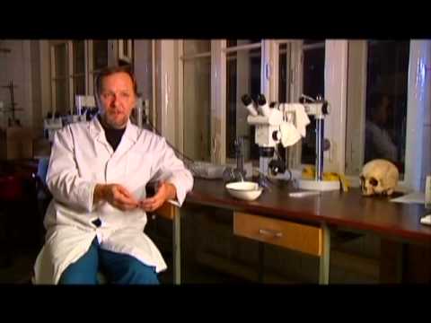 Видео: Кошмар академика Герасимова - В поисках истины