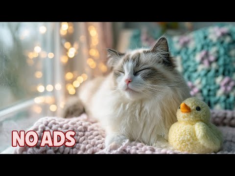 Видео: 12 Часов Успокаивающей Музыки для Кошек 🐾 Кошачье ТВ 💤 Нежное Снотворное для Одиноких Кошек