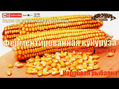 Видео: Ферментированная кукуруза по-новому рецепту