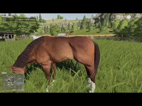 Видео: Farming Simulator 2019 как ухаживать за лошадьми