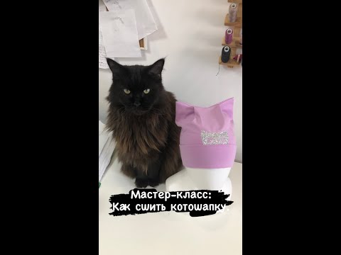 Видео: Как сшить котошапку из трикотажа