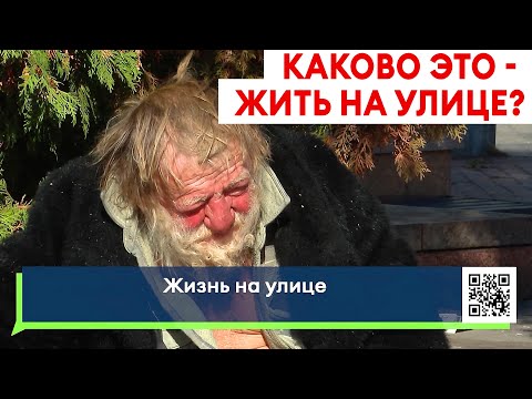 Видео: Бездомные на улицах Челнов / Почему их так много и как решить эту проблему?