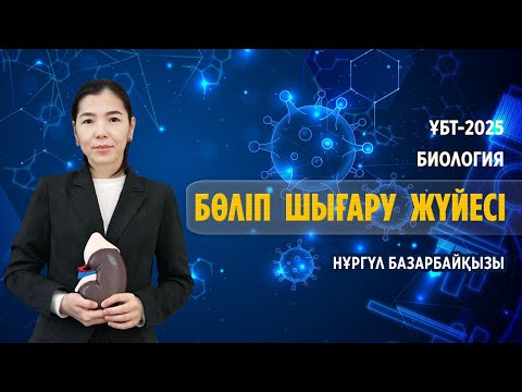 Видео: ҰБТ-2025 |  БИОЛОГИЯ/ Бөліп шығару жүйесі