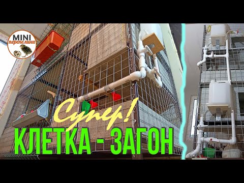 Видео: Загон или клетка? Самое надежное решение.. такого точно ни у кого нет..