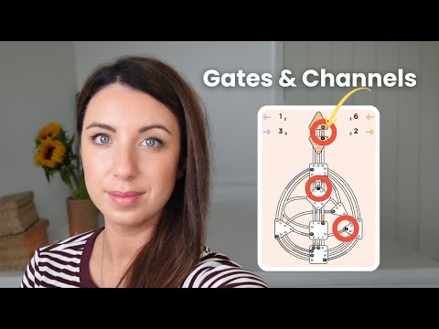 Видео: Что вам нужно знать о ваших Воротах и ​​Каналах Дизайна Человека