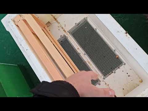 Видео: Какой нуклеус лучше