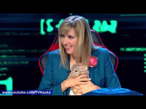 Видео: Мы и наука. Наука и мы. Мы перестанем страдать от депрессии. Выпуск от 28.06.2019