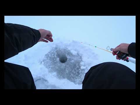 Видео: Окунь на балду в снегопад со льда.