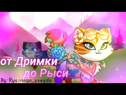 Видео: от Дримки до Рыси🍓|Castle cats| by:Rysinaya_zvezda