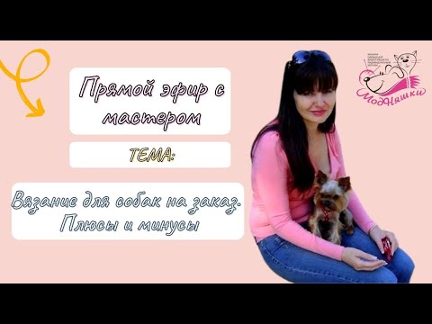 Видео: Заработок на вязании одежды для собак. Эфир с мастером .