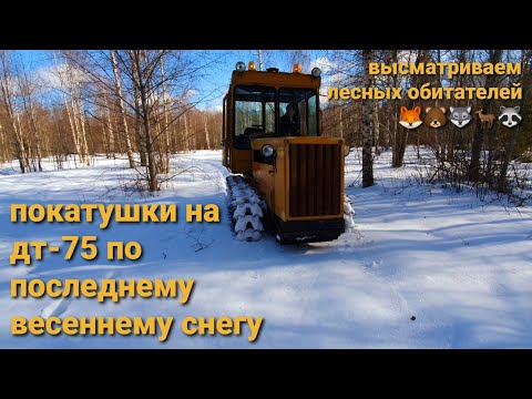Видео: Покатушки на дт 75 по последнему снегу. Весна 2021.