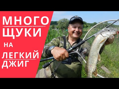 Видео: МНОГО ЩУКИ на лёгкий джиг|Обзор Perfect jig 81 UL-SS